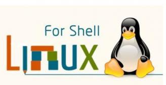 Linux实用监控脚本分享